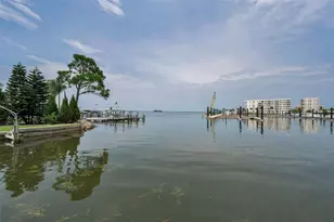 433 S Paula Dr, Dunedin, FL 34698 - Photo 53