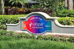 36750 US Hwy 19 N, Palm Harbor, FL 34684 - Photo 25