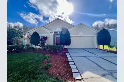 30728 Iverson Drive, Wesley Chapel, FL 33543 - Photo 1