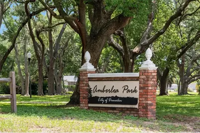 1150 Brook Drive W, Dunedin, FL 34698 - Photo 43
