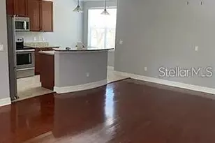 4511 Bay Spring Ct, Tampa, FL 33611 - Photo 5