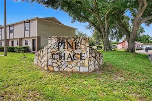 2106 Pine Chace Ct, Tampa, FL 33613 - Photo 39