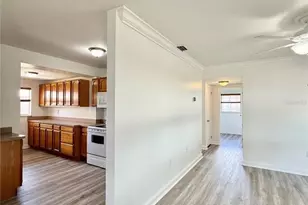 7810 Felice Ave, Tampa, FL 33614 - Photo 17