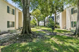 4335 Aegean Dr, Tampa, FL 33611 - Photo 57