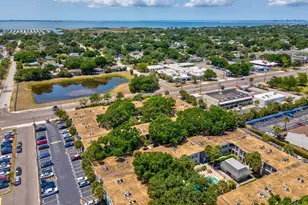 4335 Aegean Dr, Tampa, FL 33611 - Photo 35