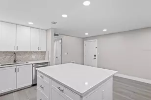 4335 Aegean Dr, Tampa, FL 33611 - Photo 21