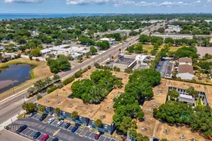 4335 Aegean Dr, Tampa, FL 33611 - Photo 43