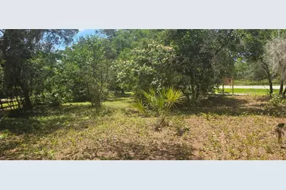 Ne 236th Court, Fort Mc Coy, FL 32134 - Photo 5