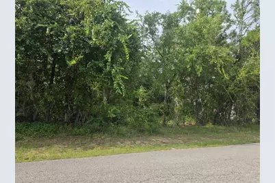 1567 E Cleveland Street, Hernando, FL 34442 - Photo 3