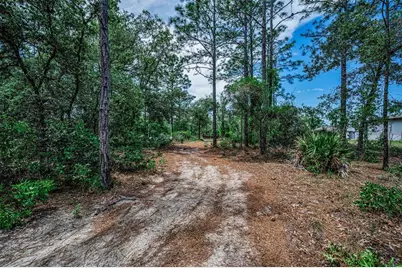 12132 Frankwood Road, Weeki Wachee, FL 34614 - Photo 7