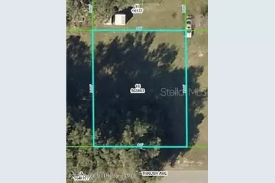 27275 Thrush Avenue, Brooksville, FL 34602 - Photo 3