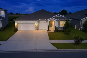 10345 Bridgegate Heights Loop, San Antonio, FL 33576 - Photo 1