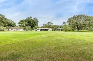 936 N Riverhills Dr, Tampa, FL 33617 - Photo 13