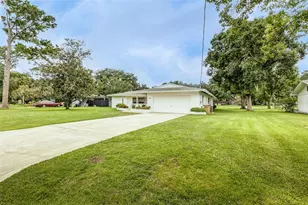 936 N Riverhills Dr, Tampa, FL 33617 - Photo 1