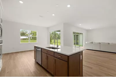12105 Orchid Ash Street, Riverview, FL 33579 - Photo 7