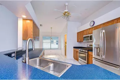 19851 Ellendale Drive, Land O Lakes, FL 34638 - Photo 9