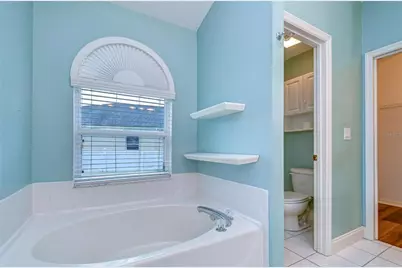 19851 Ellendale Drive, Land O Lakes, FL 34638 - Photo 21
