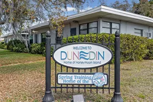 1006 Dumont Dr, Dunedin, FL 34698 - Photo 51
