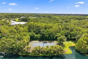 2240 Cypress Hollow Ct, Safety Harbor, FL 34695 - Photo 71