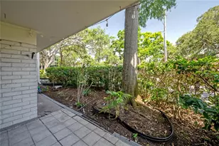 3325 Bayshore Blvd, Tampa, FL 33629 - Photo 31