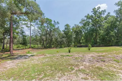 34299 Belt Drive, Dade City, FL 33523 - Photo 59