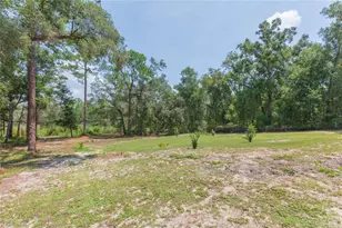 34299 Belt Dr, Dade City, FL 33523 - Photo 59