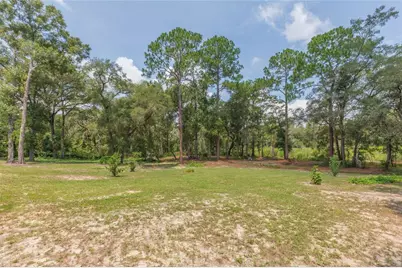 34299 Belt Drive, Dade City, FL 33523 - Photo 61