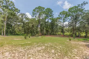 34299 Belt Dr, Dade City, FL 33523 - Photo 61