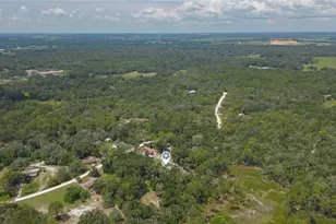 34299 Belt Dr, Dade City, FL 33523 - Photo 67