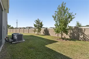 32423 Turtle Grace Loop, Wesley Chapel, FL 33545 - Photo 61