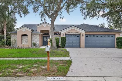 12421 Windswept Avenue, Riverview, FL 33569 - Photo 1