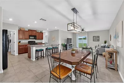 5119 White Chicory Drive, Apollo Beach, FL 33572 - Photo 17