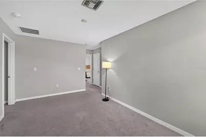 5119 White Chicory Drive, Apollo Beach, FL 33572 - Photo 37