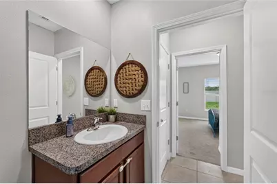 5119 White Chicory Drive, Apollo Beach, FL 33572 - Photo 35