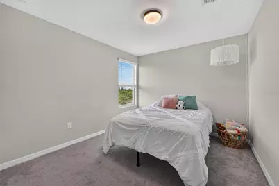 5119 White Chicory Drive, Apollo Beach, FL 33572 - Photo 19