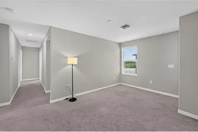 5119 White Chicory Drive, Apollo Beach, FL 33572 - Photo 23