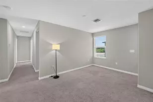 5119 White Chicory Dr, Apollo Beach, FL 33572 - Photo 23