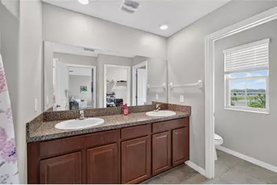 5119 White Chicory Drive, Apollo Beach, FL 33572 - Photo 45