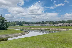13648 Whiskey Daisy Dr, Dade City, FL 33525 - Photo 45
