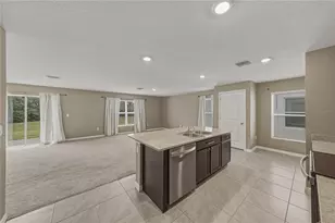 13648 Whiskey Daisy Dr, Dade City, FL 33525 - Photo 19