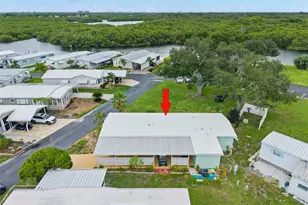 684 Mt Lancaster Ave NE, Saint Petersburg, FL 33702 - Photo 7