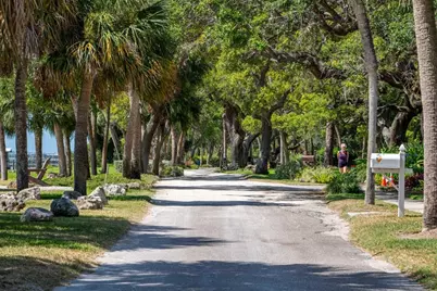 439 Louden Avenue, Dunedin, FL 34698 - Photo 55