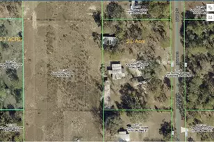 11189 Salome St, Brooksville, FL 34614 - Photo 3