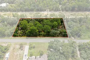 12250 Marvelwood Rd, Weeki Wachee, FL 34614 - Photo 1