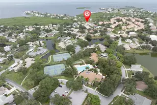 1083 S Pointe Alexis Dr, Tarpon Springs, FL 34689 - Photo 47