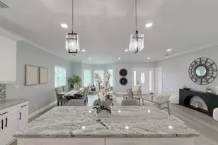 1083 S Pointe Alexis Dr, Tarpon Springs, FL 34689 - Photo 15