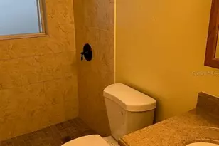 818 Scotland St, Dunedin, FL 34698 - Photo 17
