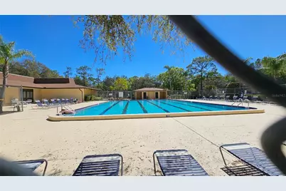 11722 Raintree Lake Lane #C, Tampa, FL 33617 - Photo 31