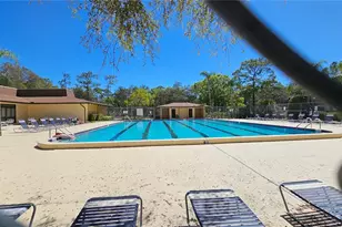 11722 Raintree Lake Ln, Tampa, FL 33617 - Photo 31