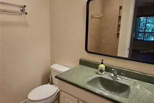 11722 Raintree Lake Ln, Tampa, FL 33617 - Photo 29